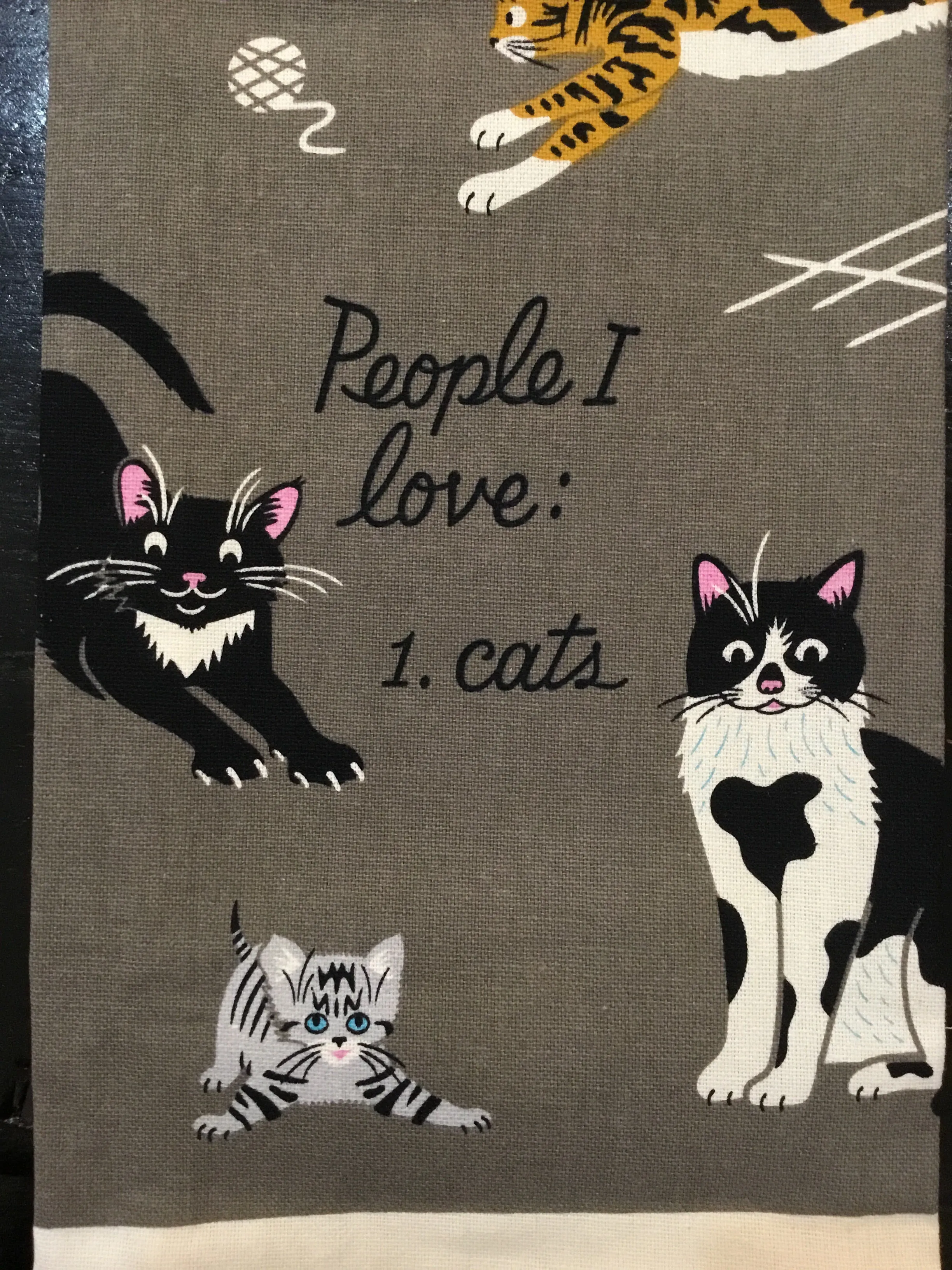 Funny Screen-Printed Dish Towel