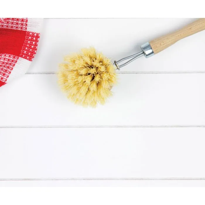 Gourmet Dish Washing Vegetable Scrub Brush