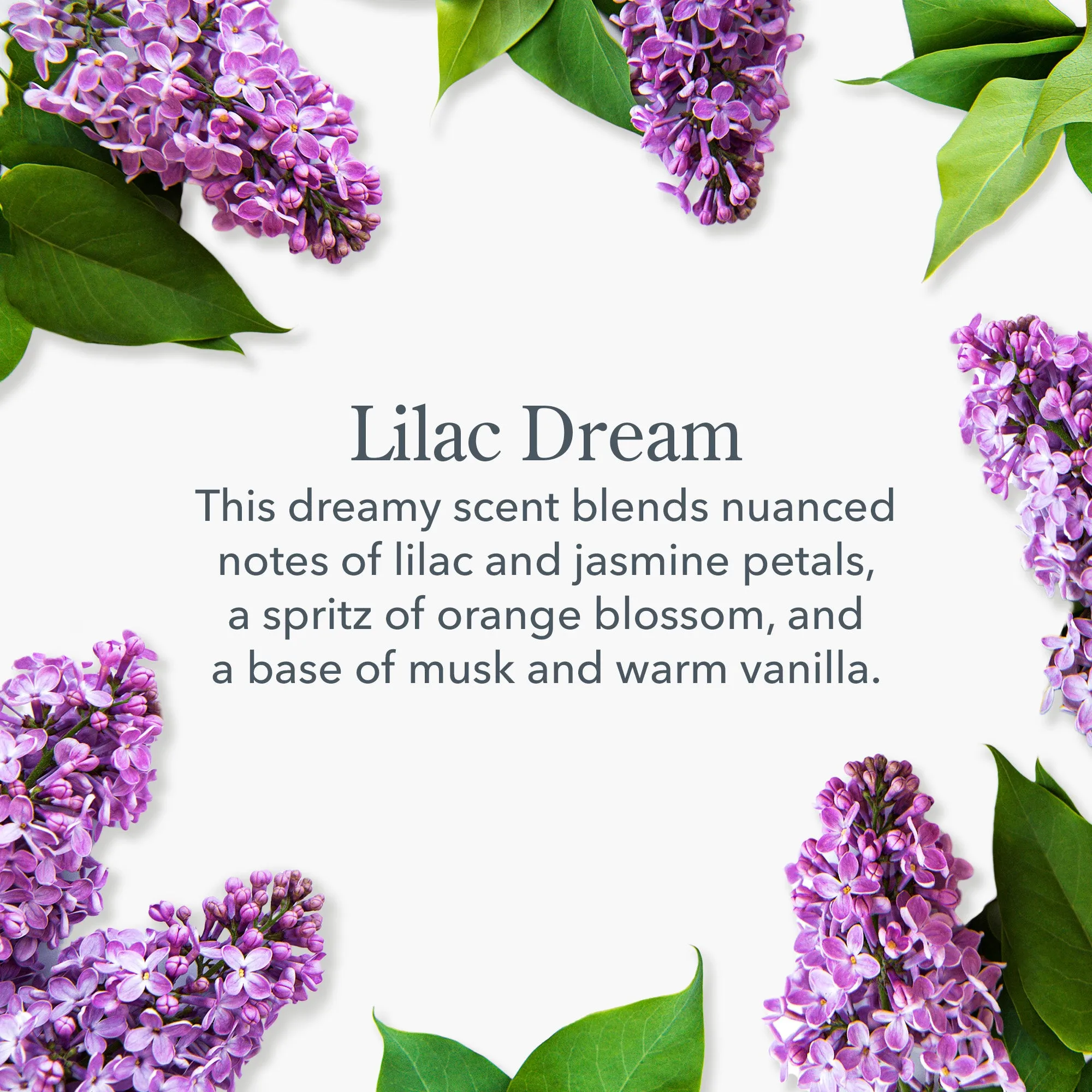 Lilac Dream Face Wipes Set of 4